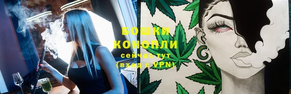 PSILOCYBIN Вяземский
