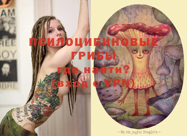 PSILOCYBIN Вяземский