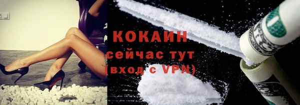PSILOCYBIN Вяземский