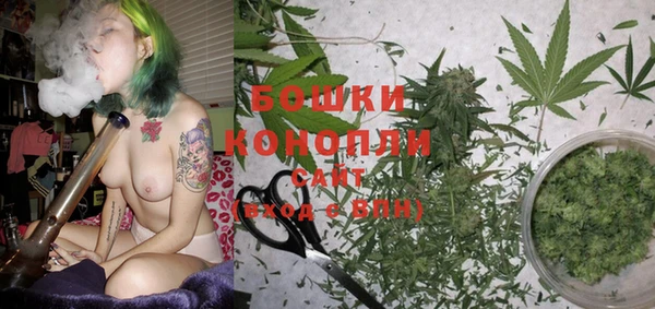 PSILOCYBIN Вяземский