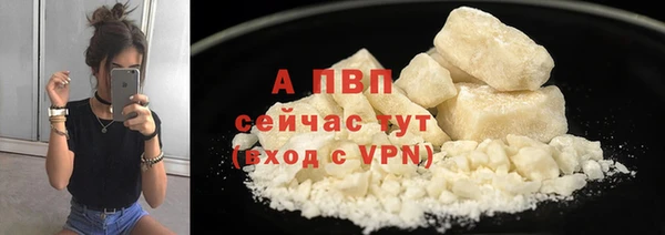 PSILOCYBIN Вяземский