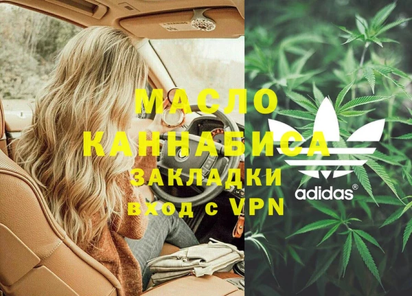 PSILOCYBIN Вяземский