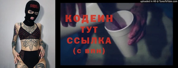 PSILOCYBIN Вяземский