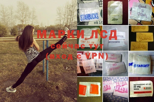 герыч Вязьма