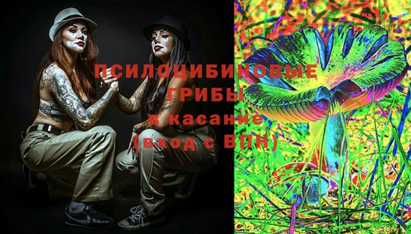 PSILOCYBIN Вяземский