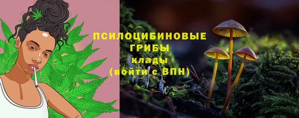 PSILOCYBIN Вяземский