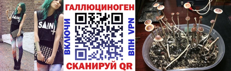 Псилоцибиновые грибы ЛСД  купить наркотик  Пушкино 